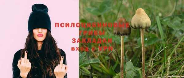 кристаллы Гусев