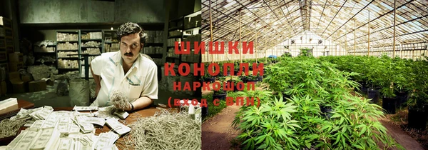 кристаллы Гусев