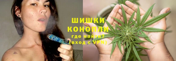 прущие грибы Гусиноозёрск
