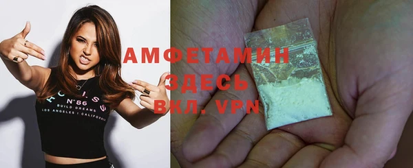 прущие грибы Гусиноозёрск
