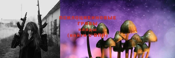 прущие грибы Гусиноозёрск