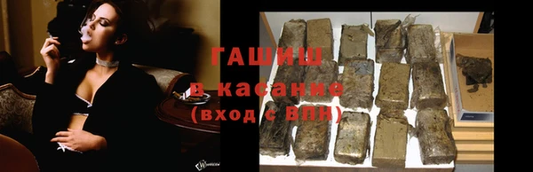 прущие грибы Гусиноозёрск