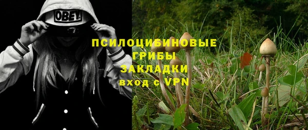 кристаллы Гусев