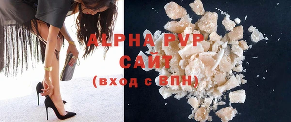 прущие грибы Гусиноозёрск