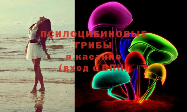 прущие грибы Гусиноозёрск