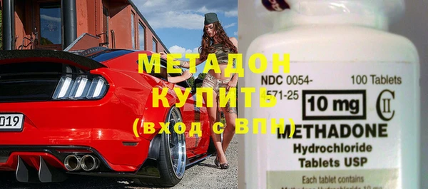 прущие грибы Гусиноозёрск