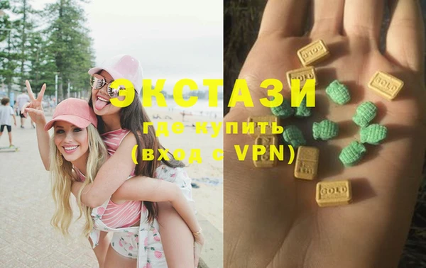 прущие грибы Гусиноозёрск