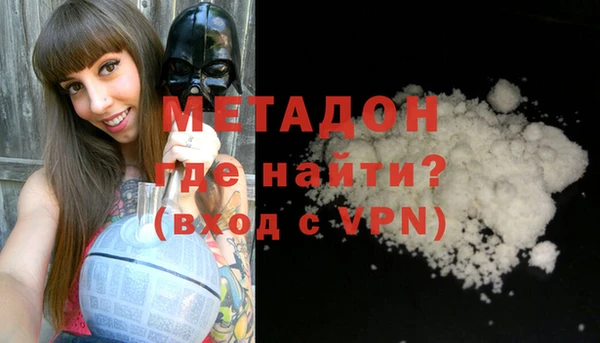 прущие грибы Гусиноозёрск