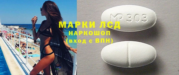 прущие грибы Гусиноозёрск