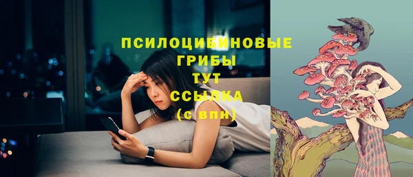 прущие грибы Гусиноозёрск